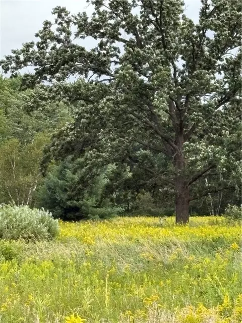 20 Acres 22 14 St, Chetek, WI 54728 photo 9