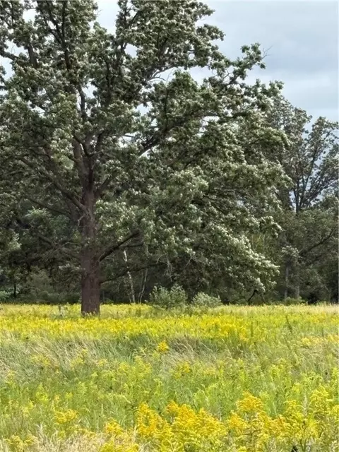 20 Acres 22 14 St, Chetek, WI 54728 photo 10