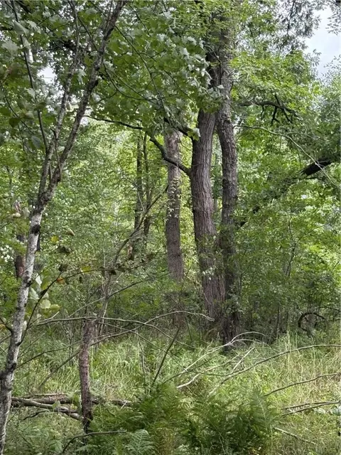 20 Acres 22 14 St, Chetek, WI 54728 photo 8