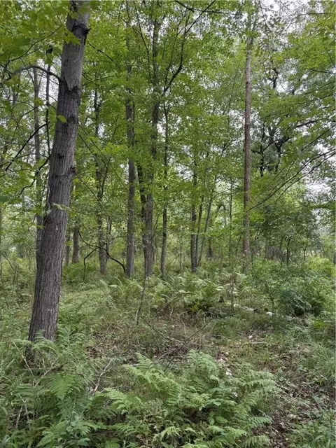 20 Acres 22 14 St, Chetek, WI 54728 photo 6