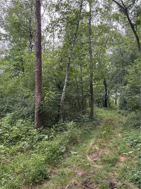 20 Acres 22 14 St, Chetek, WI 54728 photo 7