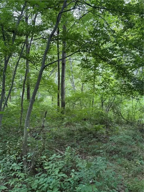 20 Acres 22 14 St, Chetek, WI 54728 photo 4