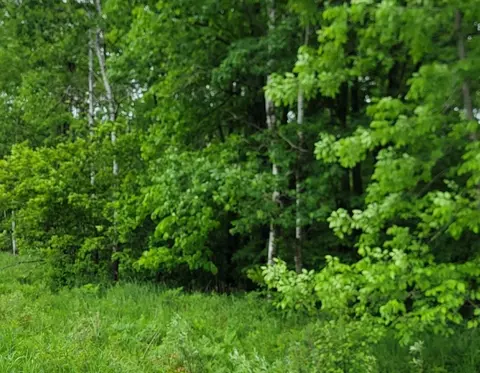 On Townline Road, Radisson, WI 54867