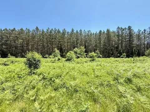 0 Brook Ln, Hayward, MN 54843