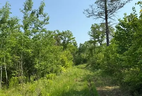 tbd County Road T, Dairyland, WI 54830