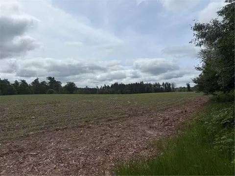 0 Walkers Rd, Humbird, WI 54746
