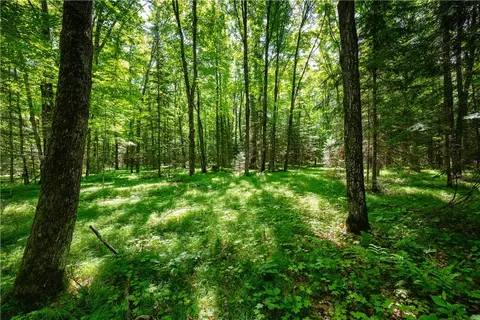33 Acres Buffalo Lake Rd, Cable, WI 54821 photo 16