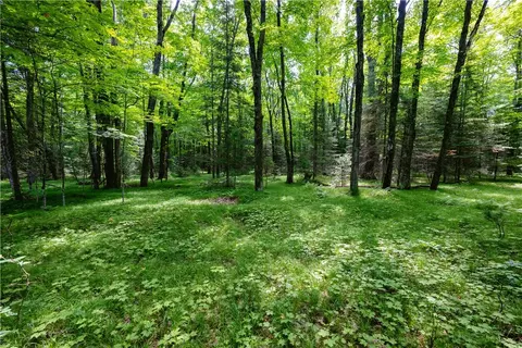 33 Acres Buffalo Lake Rd, Cable, WI 54821 photo 19