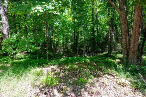 33 Acres Buffalo Lake Rd, Cable, WI 54821 photo 12
