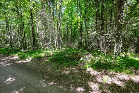 33 Acres Buffalo Lake Rd, Cable, WI 54821 photo 6