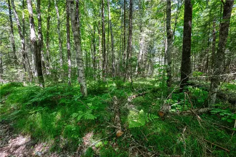 33 Acres Buffalo Lake Rd, Cable, WI 54821 photo 8