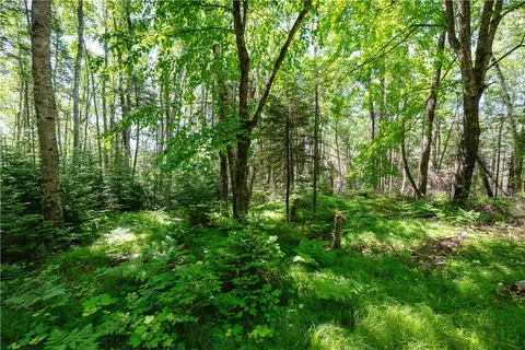 33 Acres Buffalo Lake Rd, Cable, WI 54821 photo 3