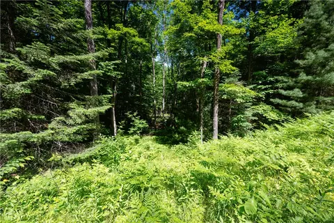 33 Acres Buffalo Lake Rd, Cable, WI 54821 photo 4