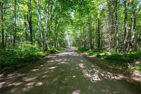 33 Acres Buffalo Lake Rd, Cable, WI 54821 photo 5