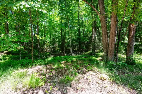 33 Acres Buffalo Lake Rd, Cable, WI 54821 photo 11