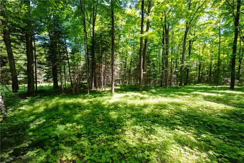 33 Acres Buffalo Lake Rd, Cable, WI 54821 photo 18