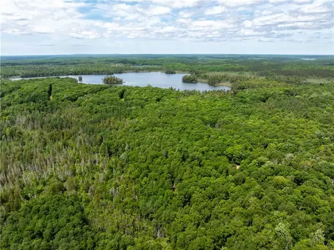 33 Acres Buffalo Lake Rd, Cable, WI 54821 photo 22