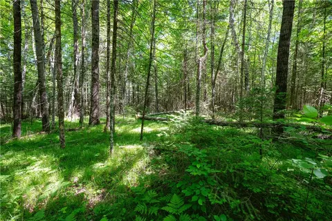 33 Acres Buffalo Lake Rd, Cable, WI 54821 photo 2