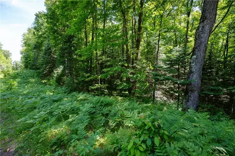 33 Acres Buffalo Lake Rd, Cable, WI 54821 photo 14