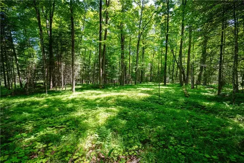 33 Acres Buffalo Lake Rd, Cable, WI 54821 photo 17