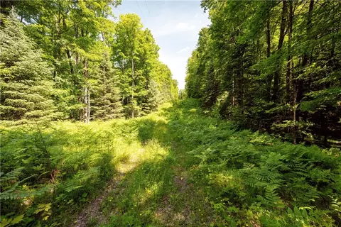 33 Acres Buffalo Lake Rd, Cable, WI 54821 photo 13