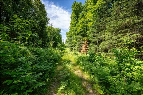33 Acres Buffalo Lake Rd, Cable, WI 54821 photo 15