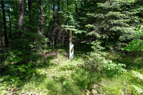 33 Acres Buffalo Lake Rd, Cable, WI 54821 photo 10