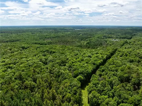 33 Acres Buffalo Lake Rd, Cable, WI 54821 photo 24