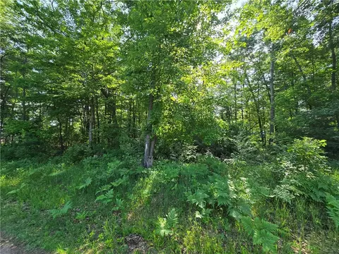 lot2 N 3 N Nelson St, Grantsburg, WI 54840