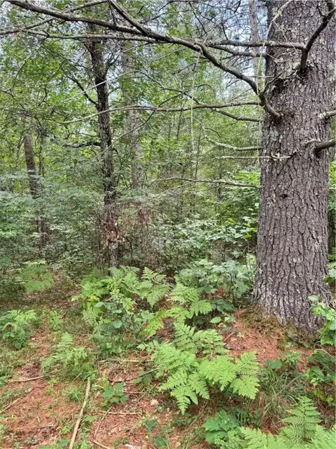 0 E Wilderness Ct, Barnes, WI 54873