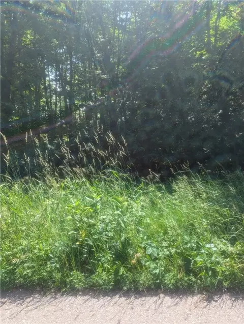 lot1 361st St, Stanley, WI 54768