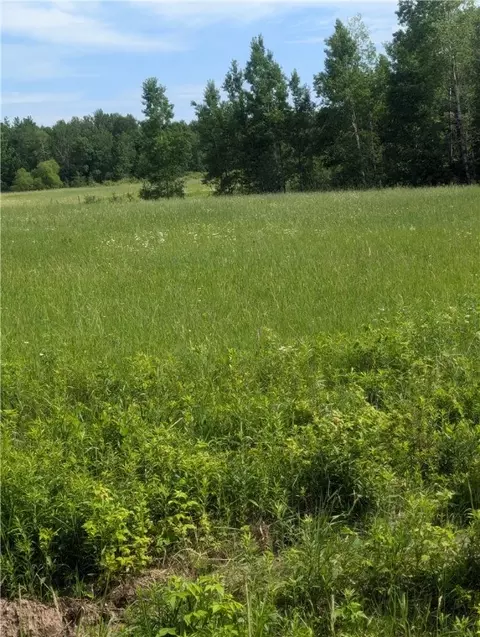 lot3 Csm Apt 2158 165th Ave, Stanley, WI 54768 photo 2