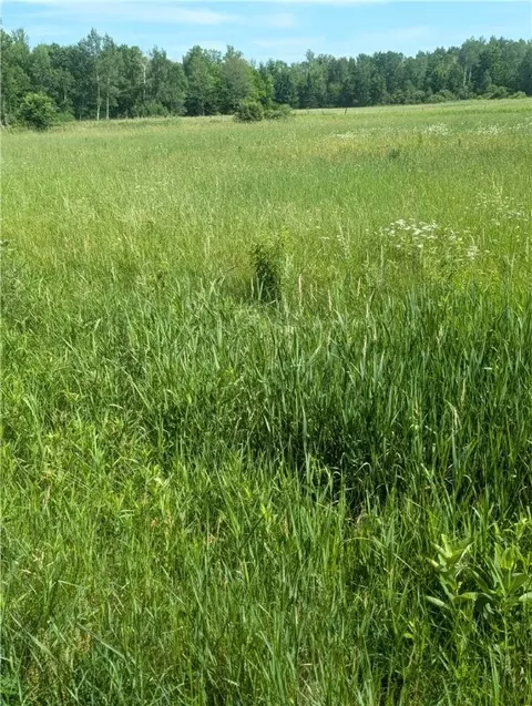 lot2 Csm Apt 2158 165th Ave, Stanley, WI 54768 photo 4