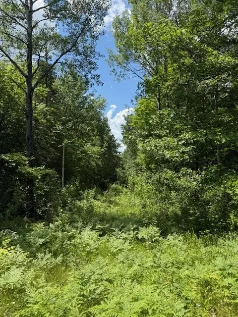 8263 Klang Rd # S, Bennett, WI 54873 photo 12