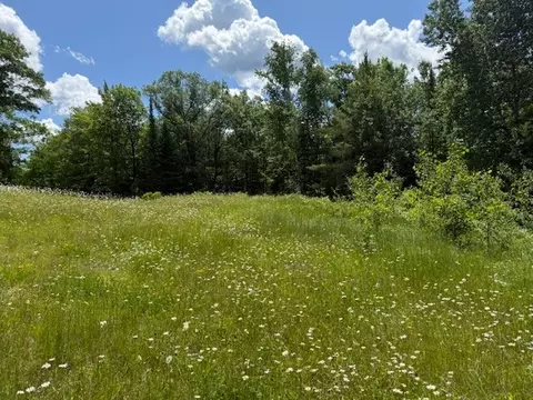 8263 Klang Rd # S, Bennett, WI 54873 photo 9