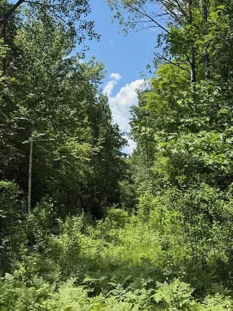 8263 Klang Rd # S, Bennett, WI 54873 photo 13