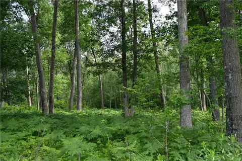 8887 Fosberg Rd, Siren, WI 54872