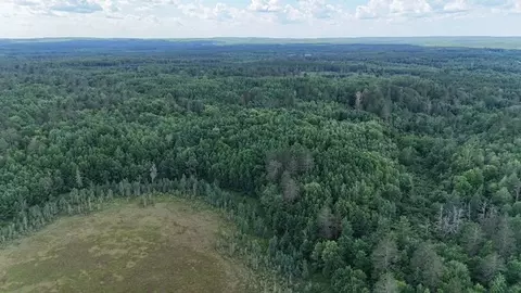 0 Highway 63, Springbrook, WI 54875 photo 13