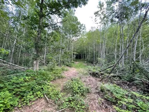 0 Highway 63, Springbrook, WI 54875 photo 8