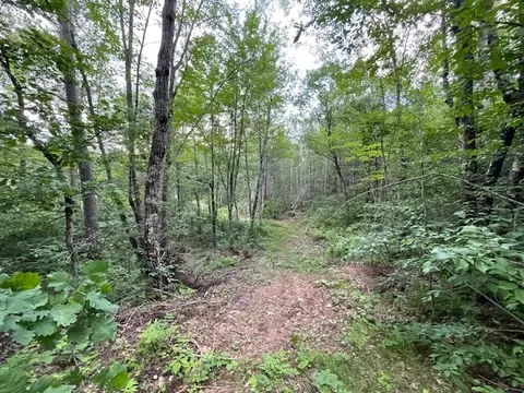 0 Highway 63, Springbrook, WI 54875 photo 9