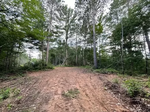 0 Highway 63, Springbrook, WI 54875 photo 10
