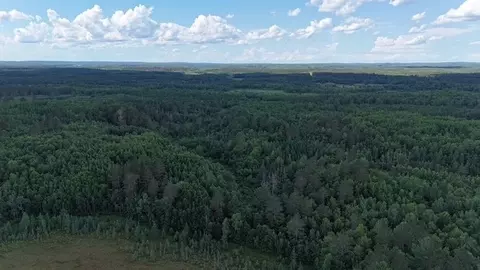 0 Highway 63, Springbrook, WI 54875 photo 15