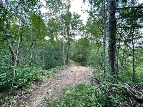 0 Highway 63, Springbrook, WI 54875 photo 7
