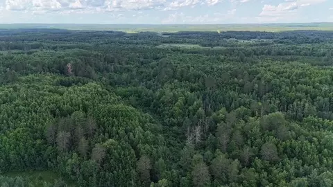 0 Highway 63, Springbrook, WI 54875 photo 14