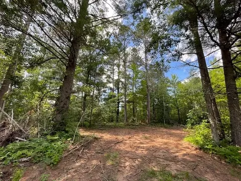 0 Highway 63, Springbrook, WI 54875 photo 5