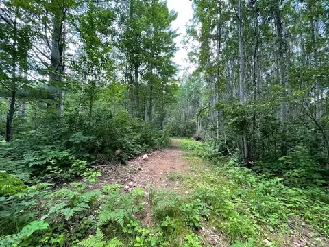0 Highway 63, Springbrook, WI 54875 photo 6