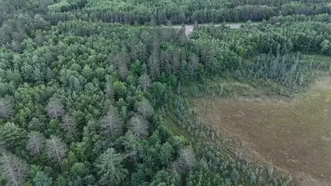 0 Highway 63, Springbrook, WI 54875 photo 19