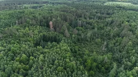 0 Highway 63, Springbrook, WI 54875 photo 17