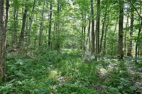 80 Acres 240th St, Cornell, WI 54732