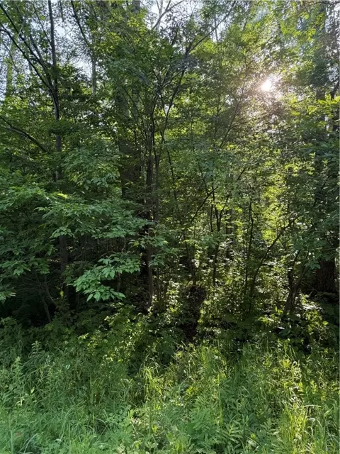 0 N Mack Lake Rd, Trego, WI 54888